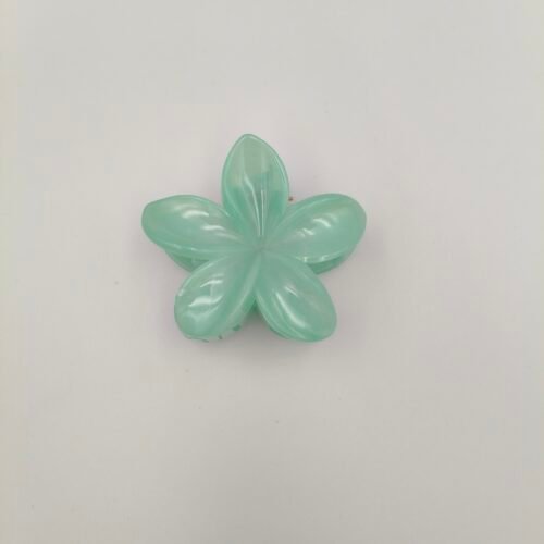 HAIR CLAW MENTA